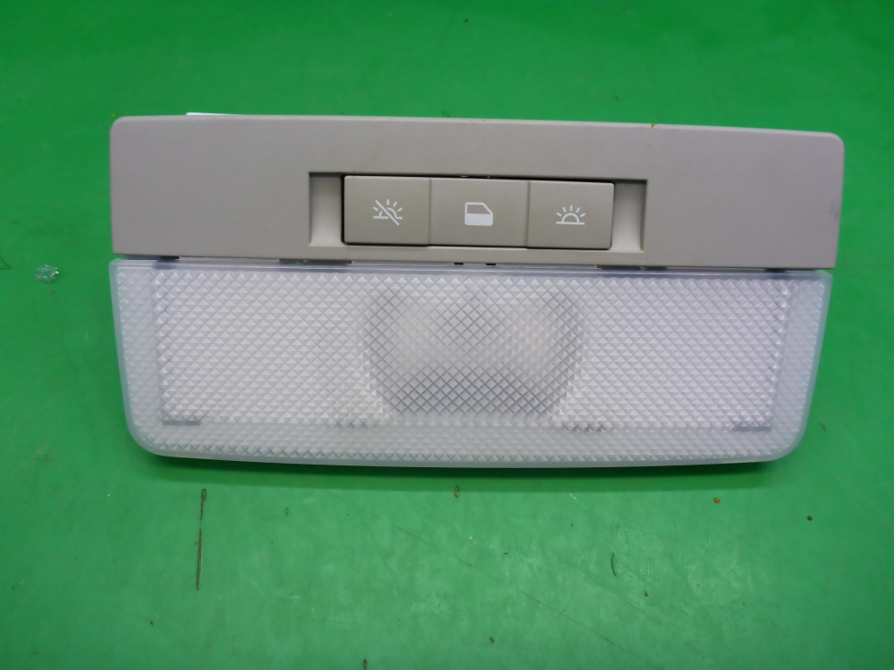 Плафон салонный