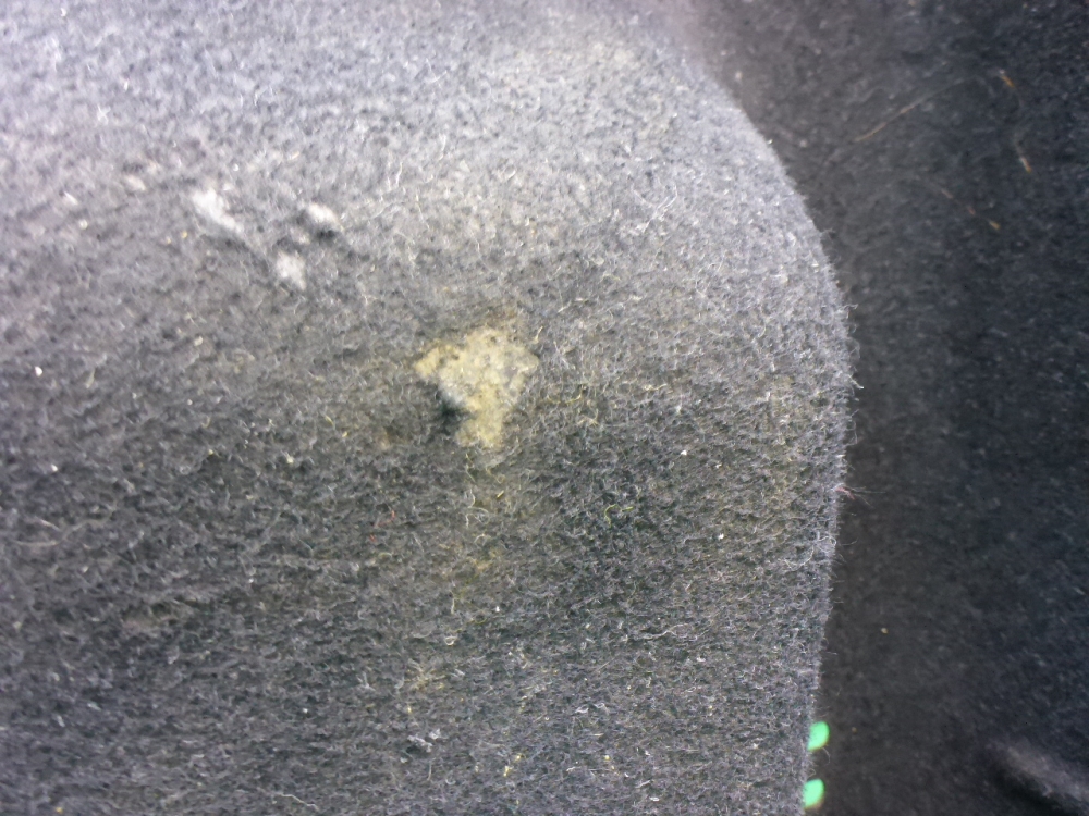 Обшивка багажника