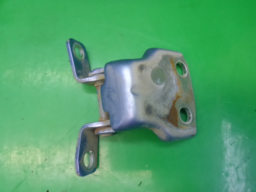 Петля двери задней левой нижняя