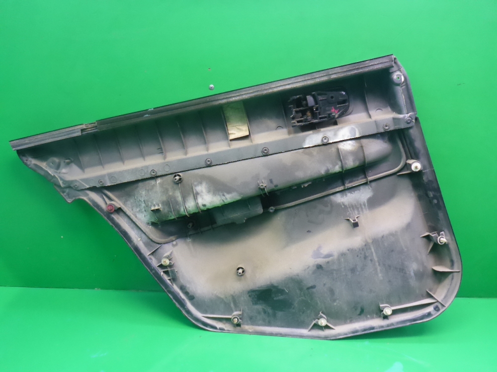 Обшивка двери задней правой