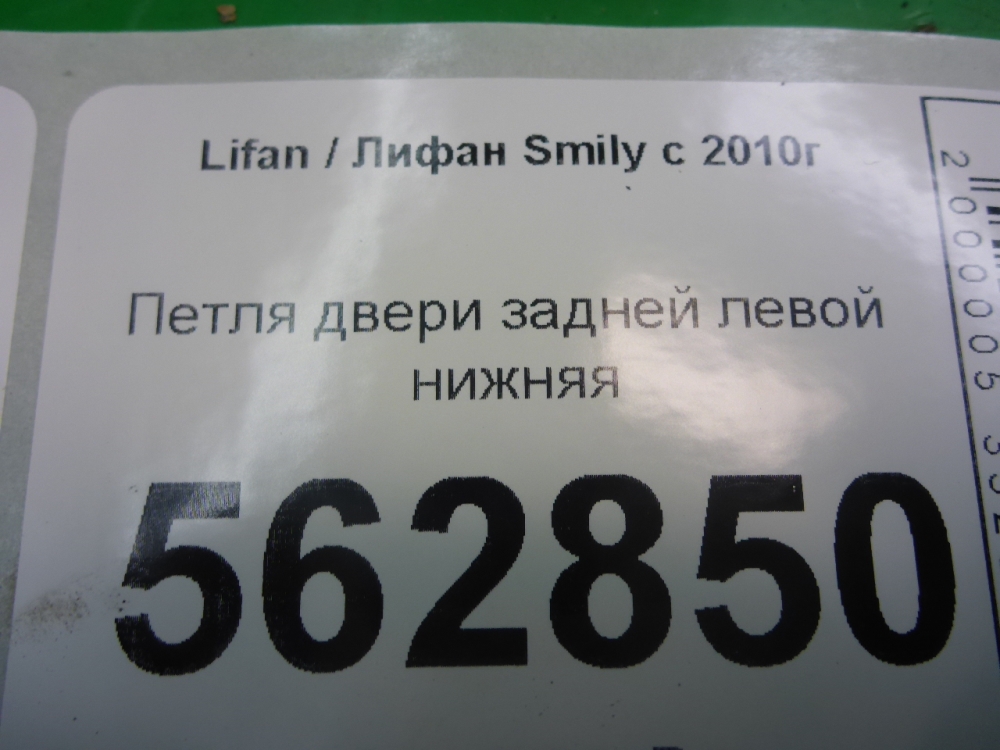 Петля двери задней левой нижняя