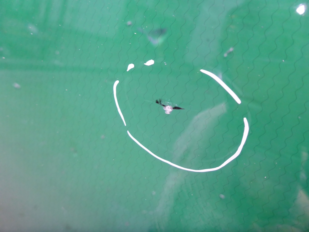 Стекло лобовое