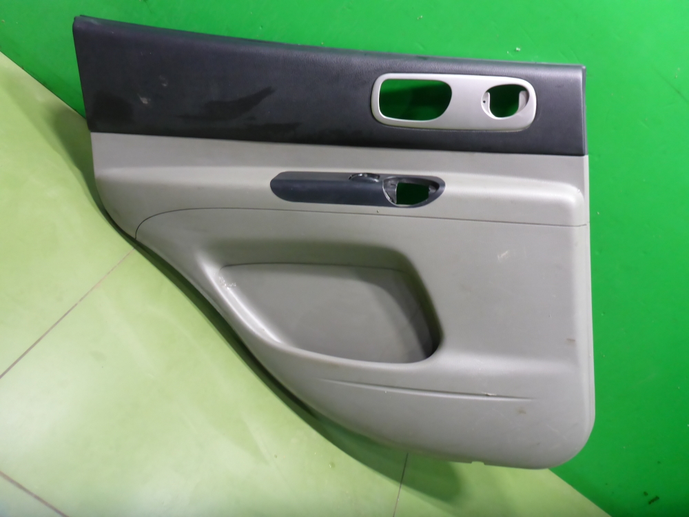 Обшивка двери задней левой