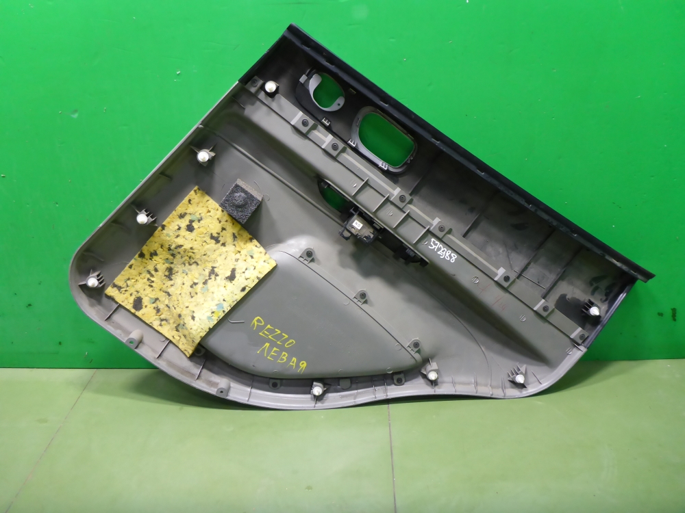 Обшивка двери задней левой