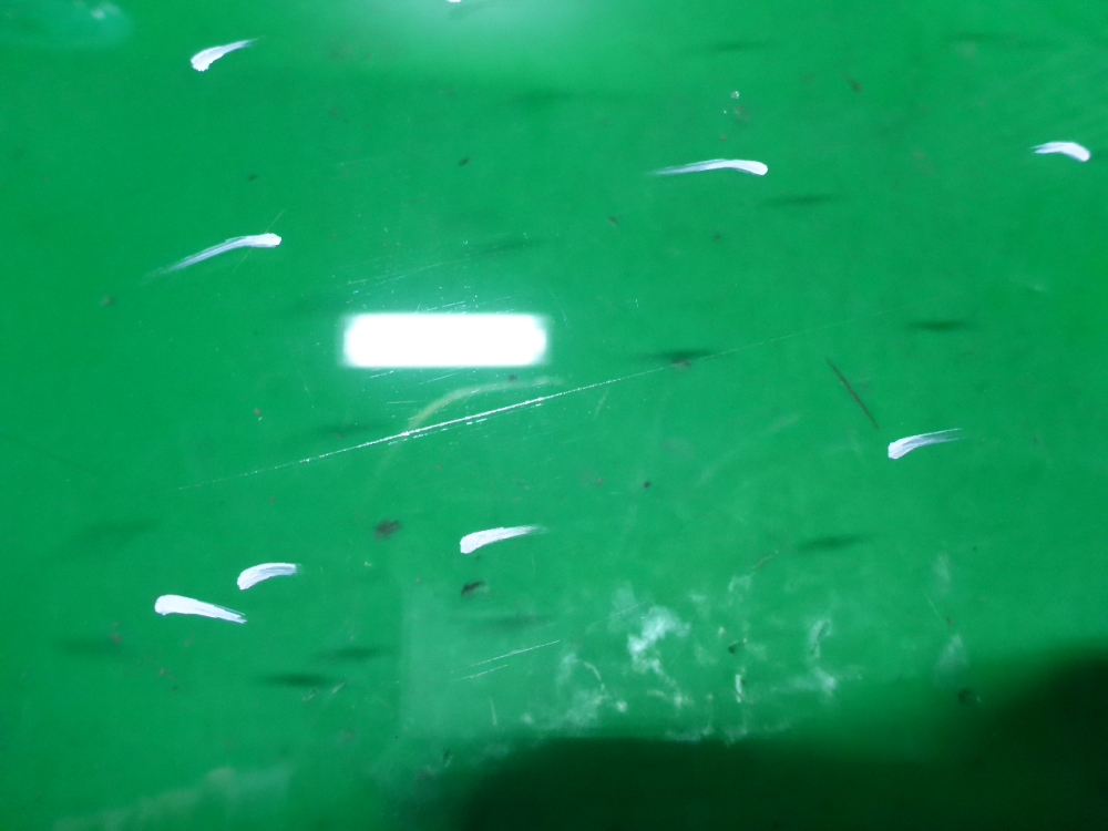 Стекло двери передней правой