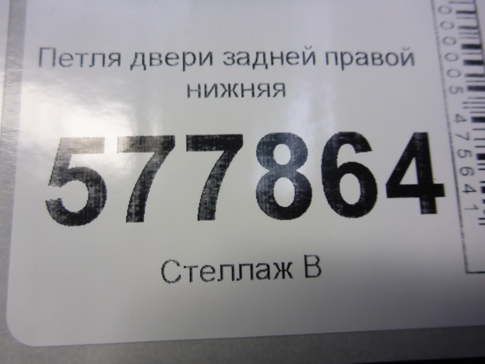 Петля двери задней правой нижняя