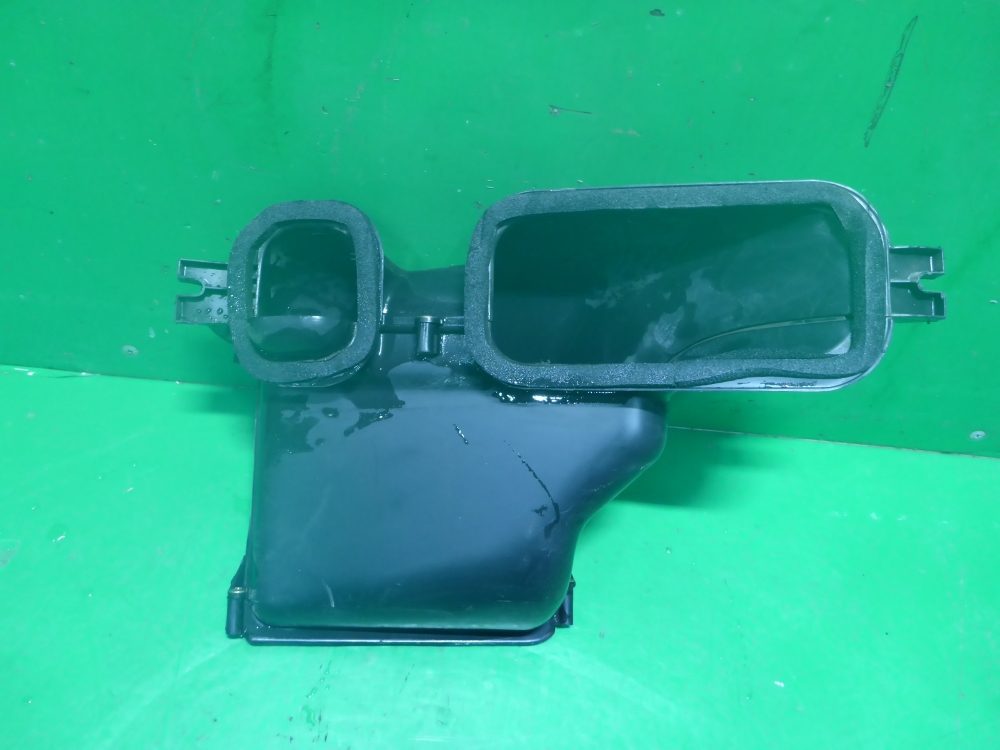 Воздухозаборник (внутри)