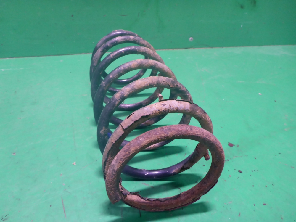 Пружина задняя