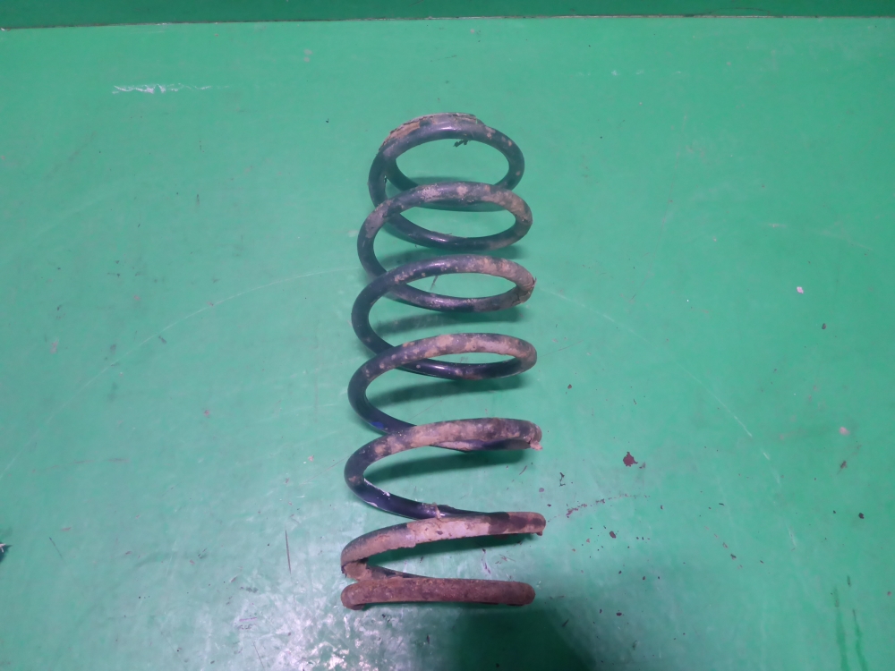 Пружина задняя