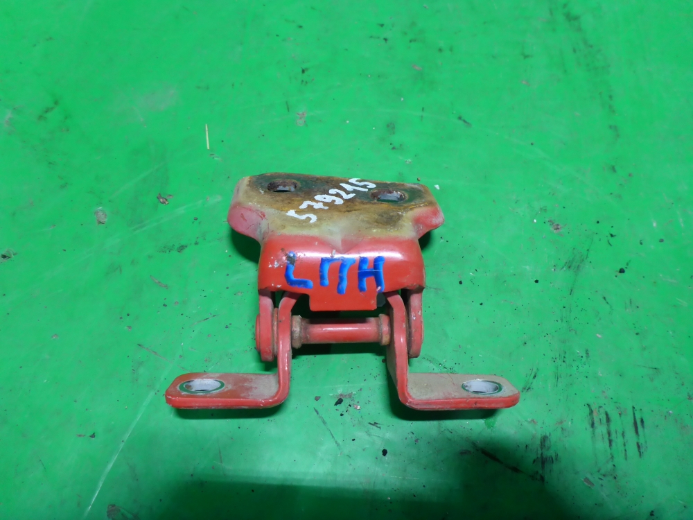 Петля двери передней левой нижняя