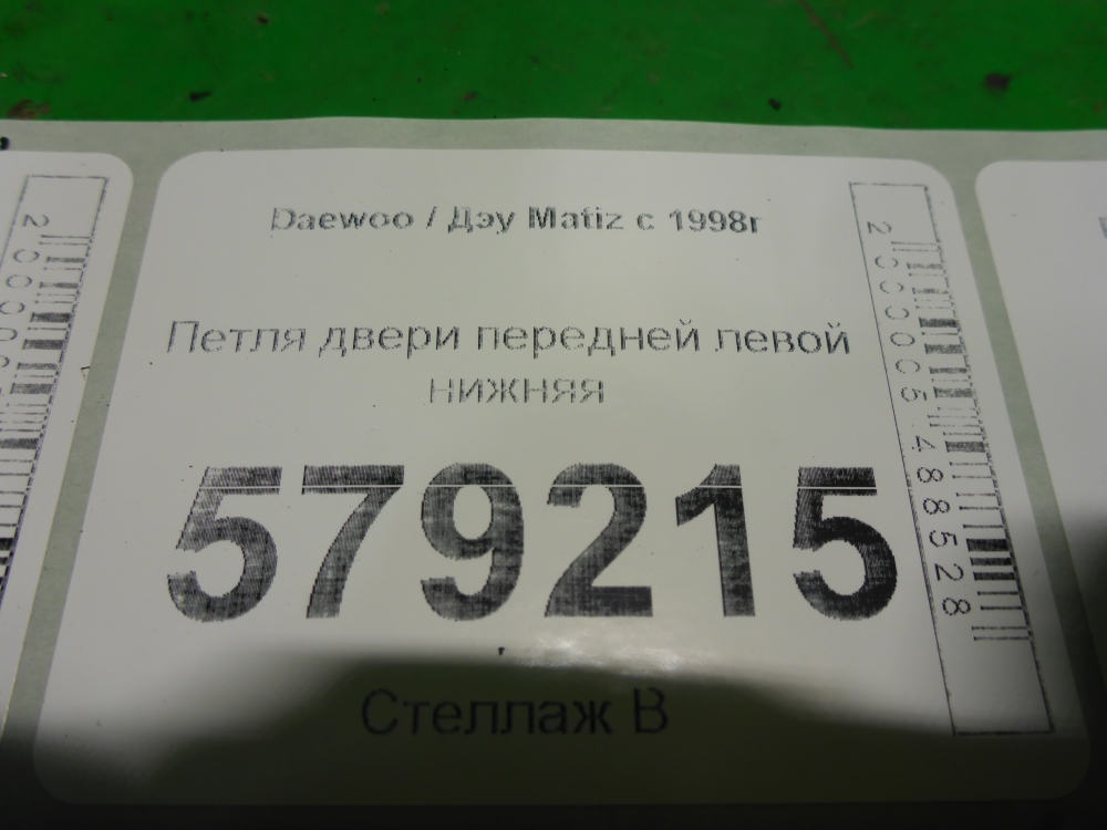 Петля двери передней левой нижняя