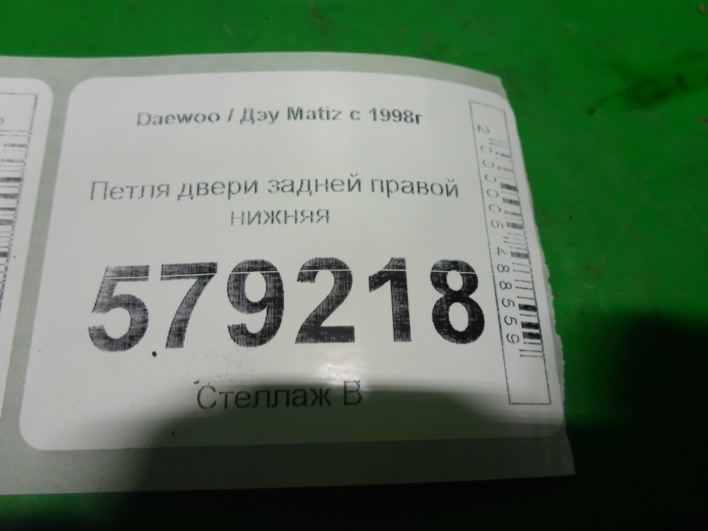 Петля двери задней правой нижняя