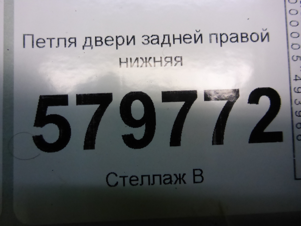 Петля двери задней правой нижняя