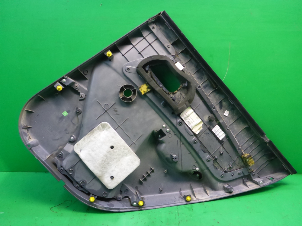 Обшивка двери задней левой