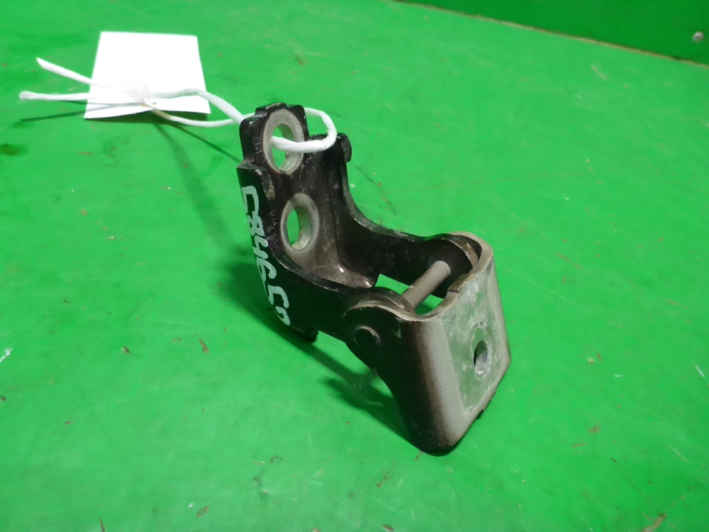 Петля двери задней левой нижняя