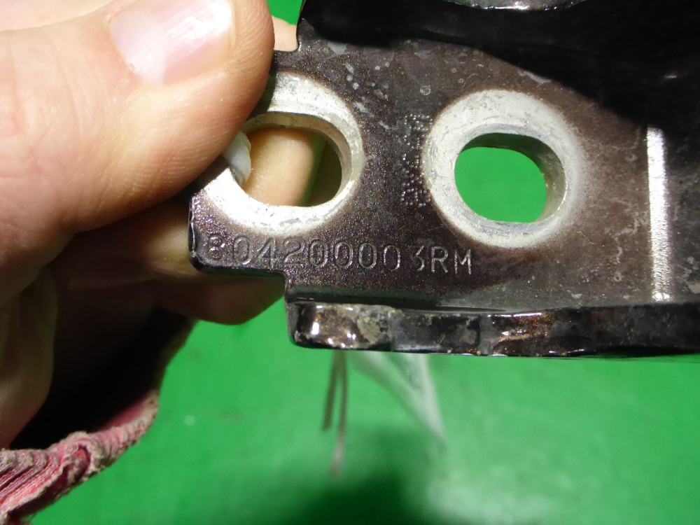 Петля двери задней левой нижняя