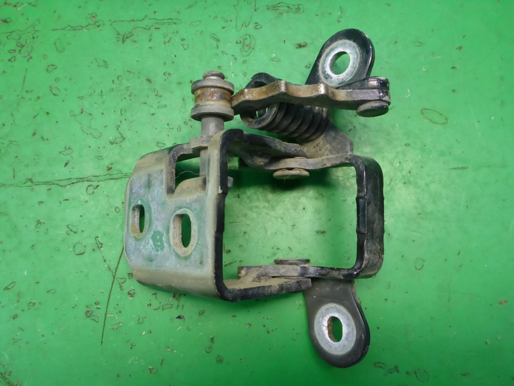 Петля двери задней правой нижняя