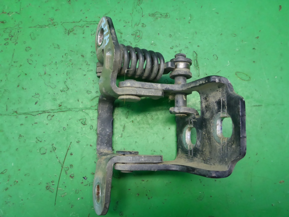 Петля двери задней правой нижняя