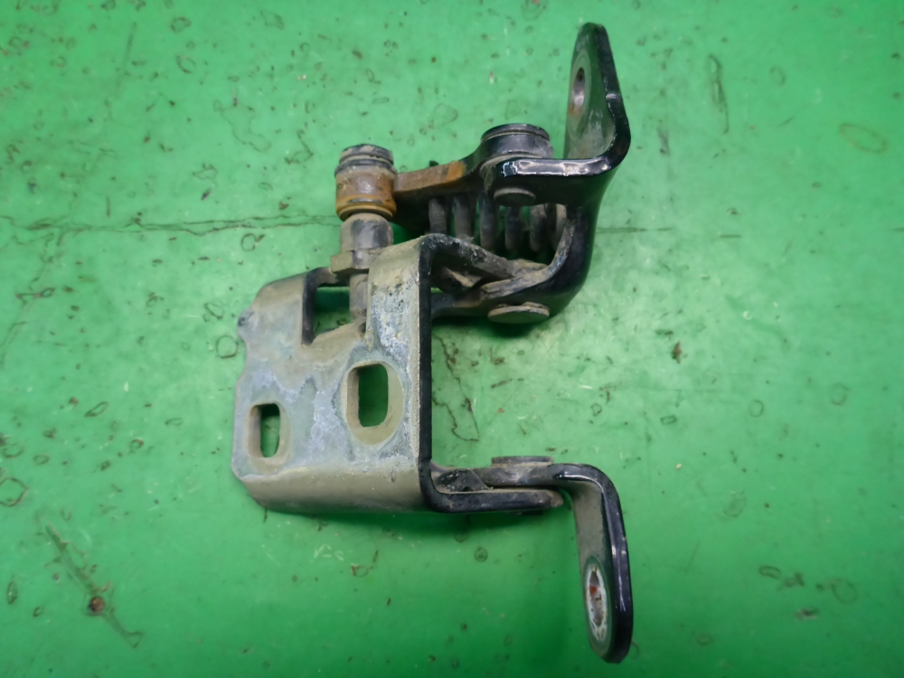 Петля двери передней правой нижняя