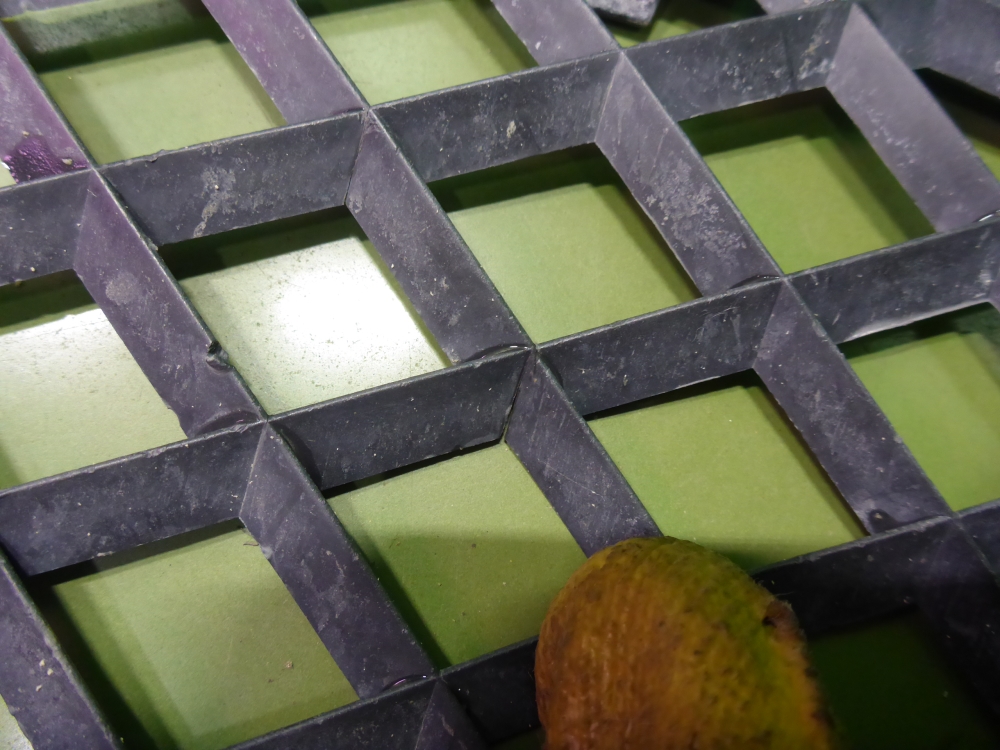 Решетка в бампер левая