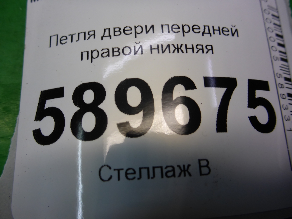 Петля двери передней правой нижняя