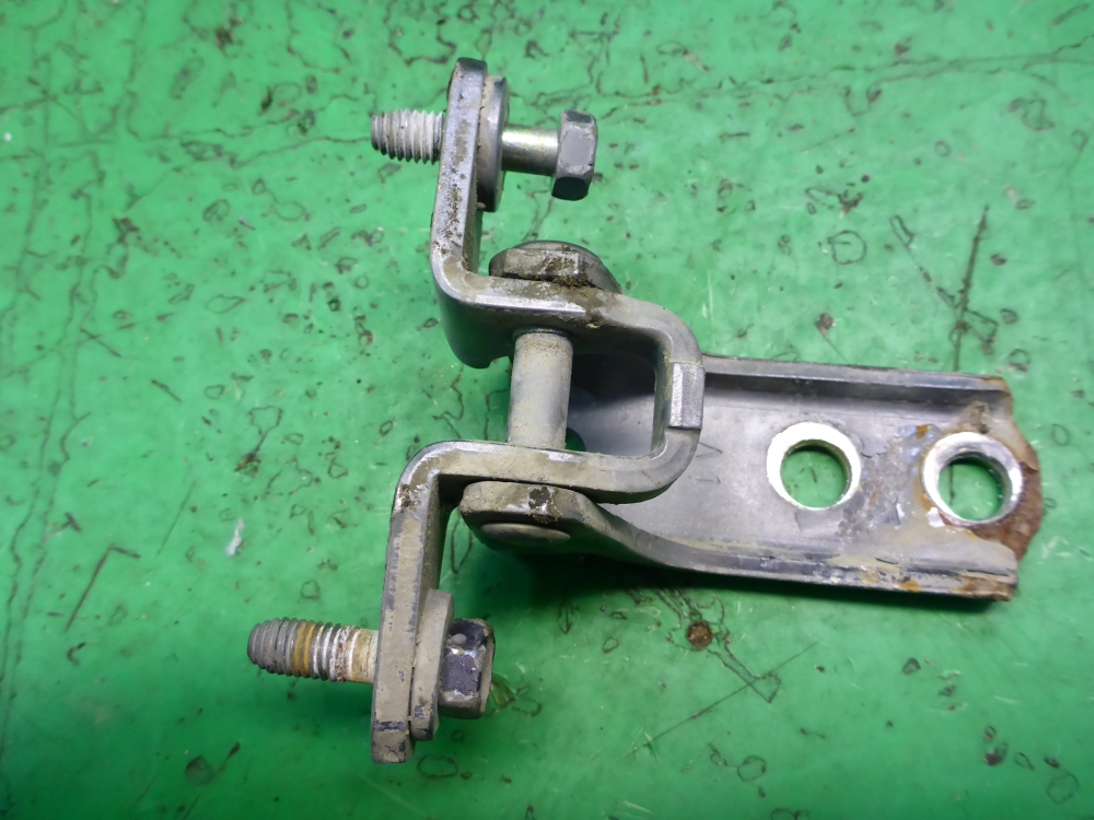 Петля двери передней правой нижняя