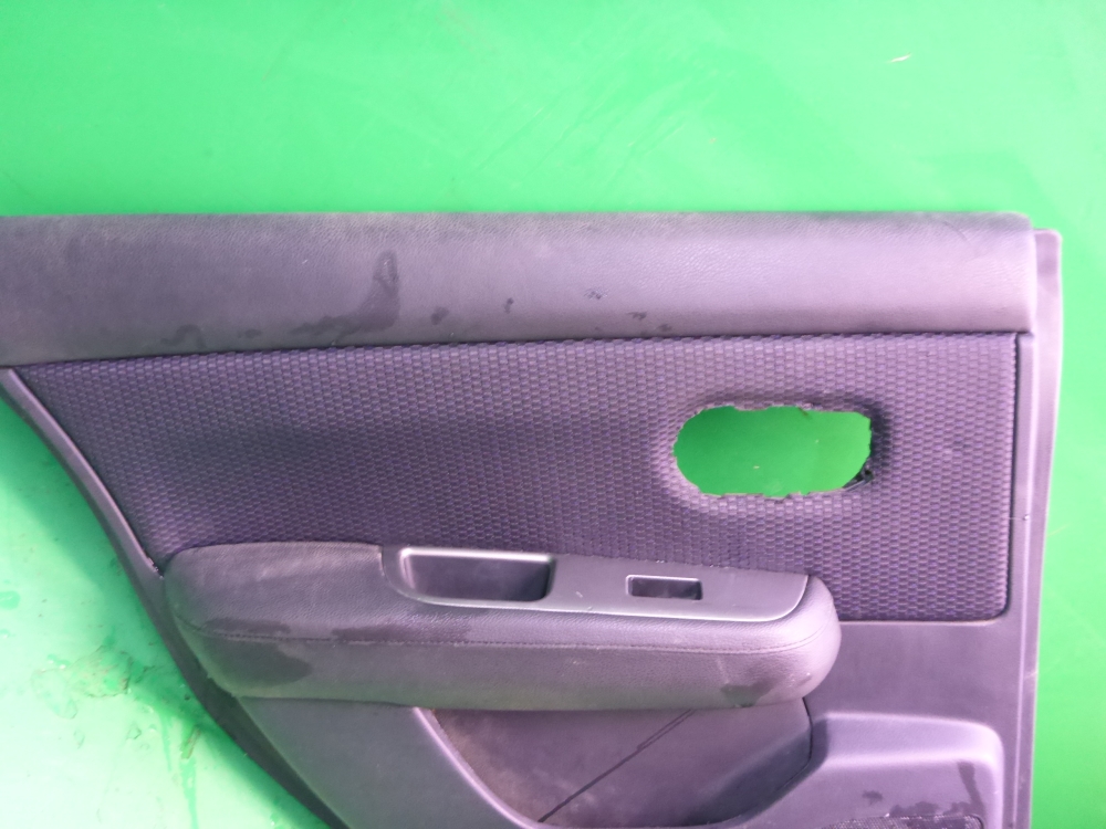 Обшивка двери задней левой