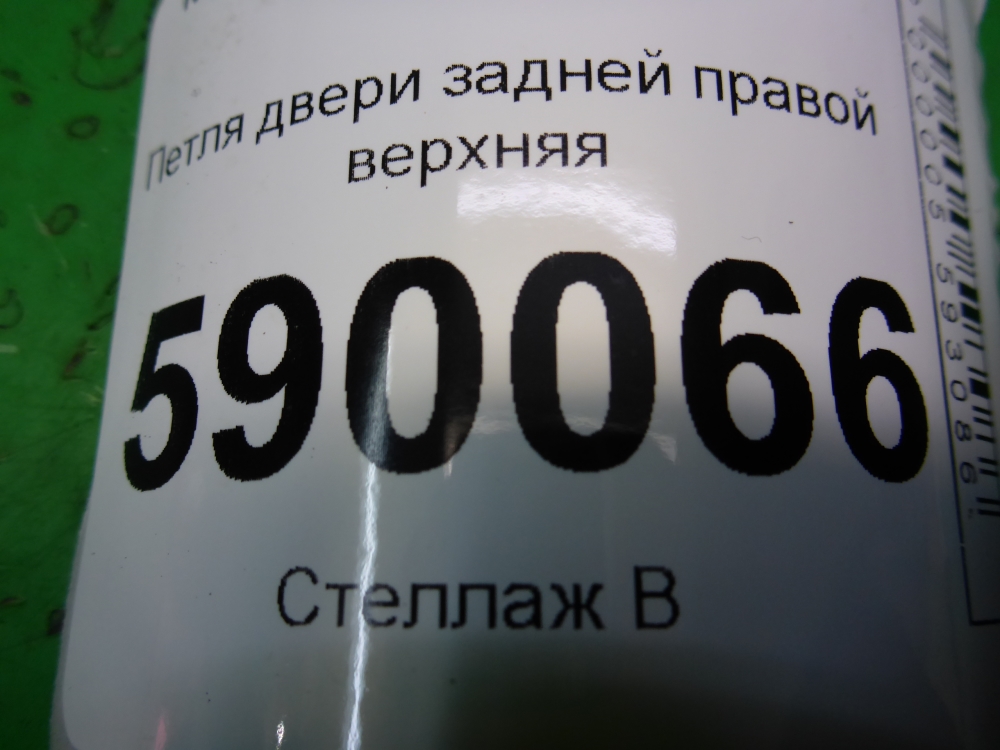 Петля двери задней правой верхняя