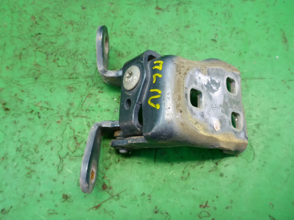 Петля двери передней левой нижняя