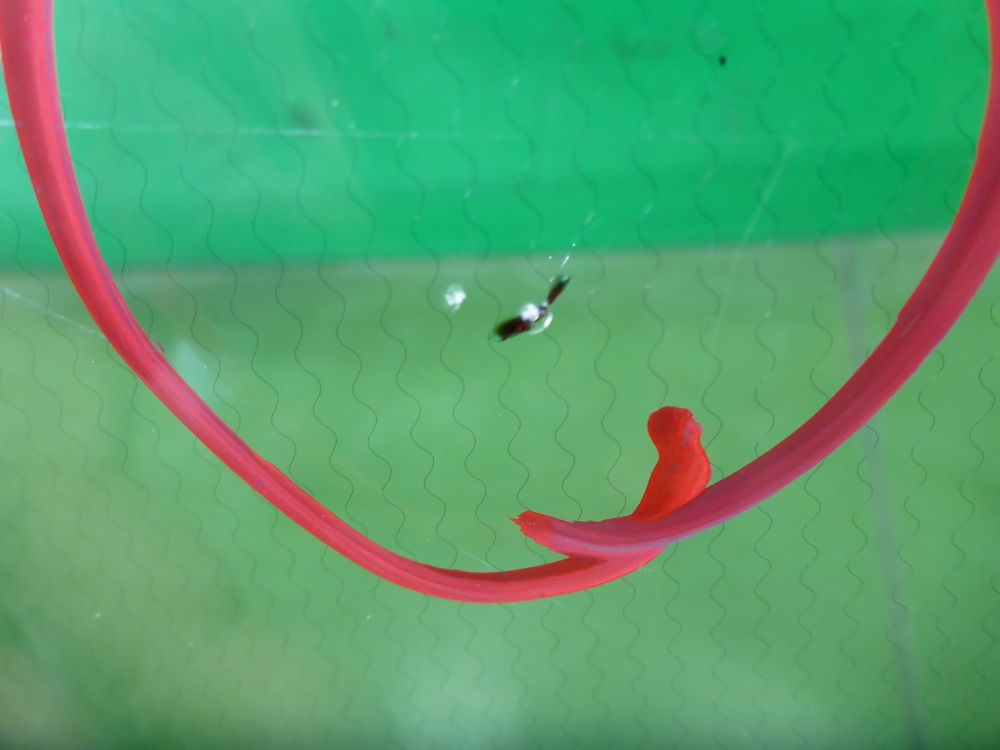 Стекло лобовое