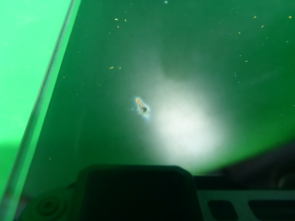 Стекло двери задней правой