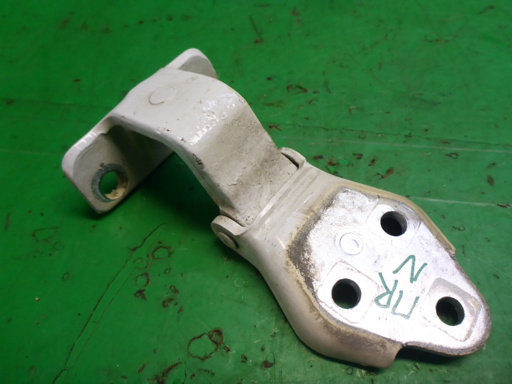 Петля двери передней левой нижняя