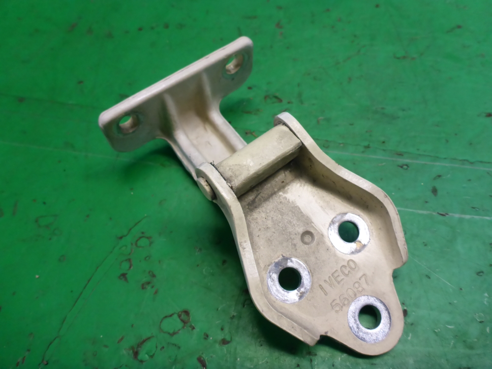 Петля двери передней левой нижняя