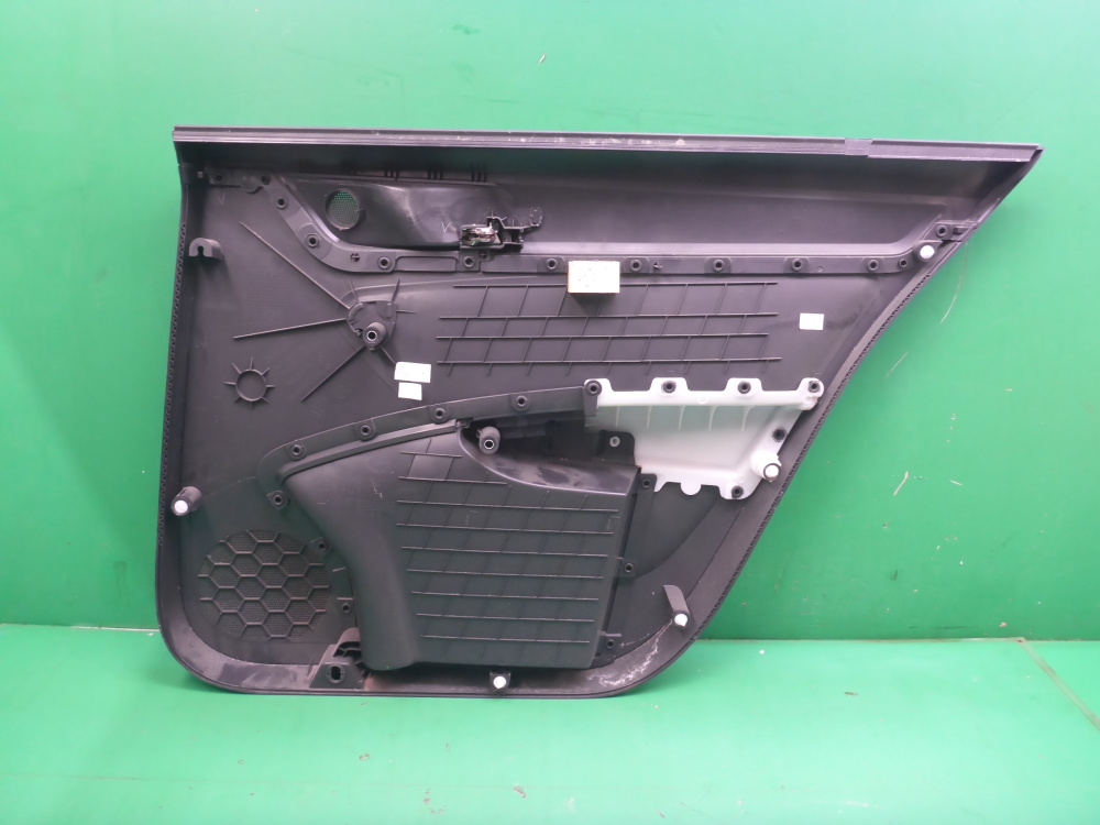 Обшивка двери задней левой