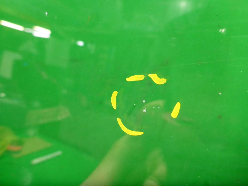 Стекло лобовое