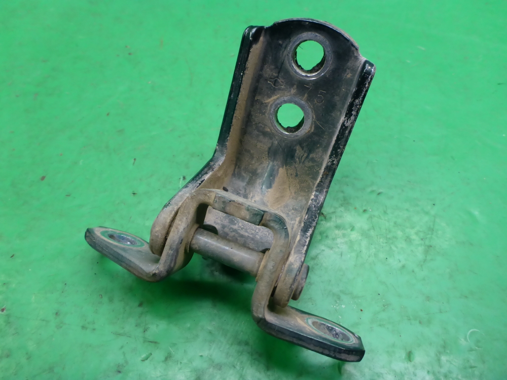 Петля двери задней левой нижняя