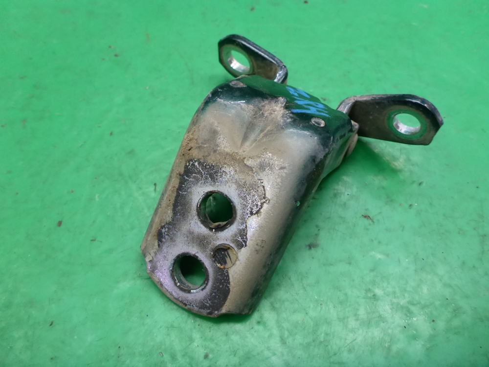 Петля двери задней правой нижняя