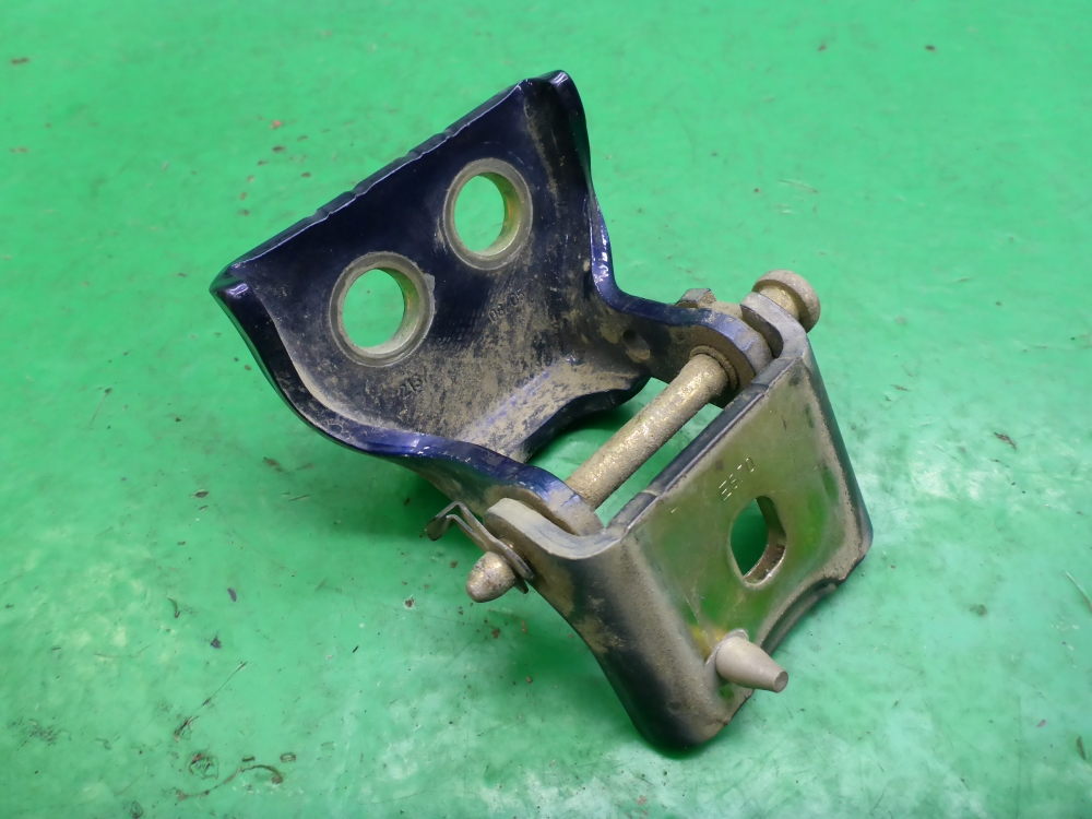 Петля двери задней левой нижняя