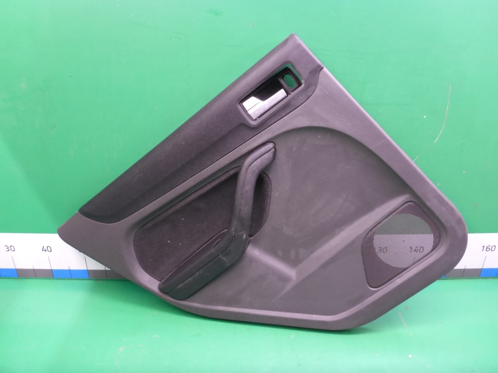 Обшивка двери задней левой