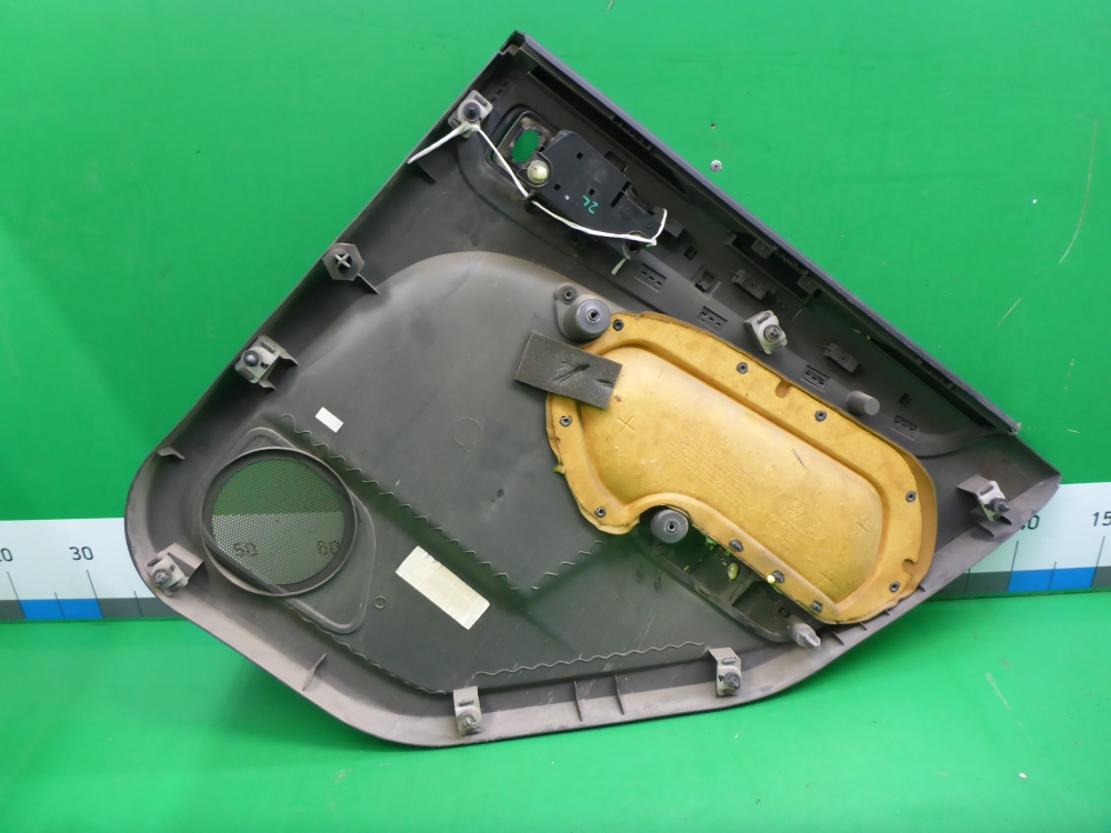 Обшивка двери задней левой