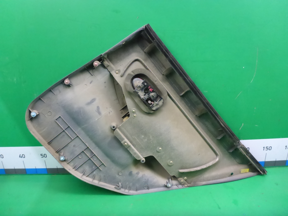 Обшивка двери задней левой