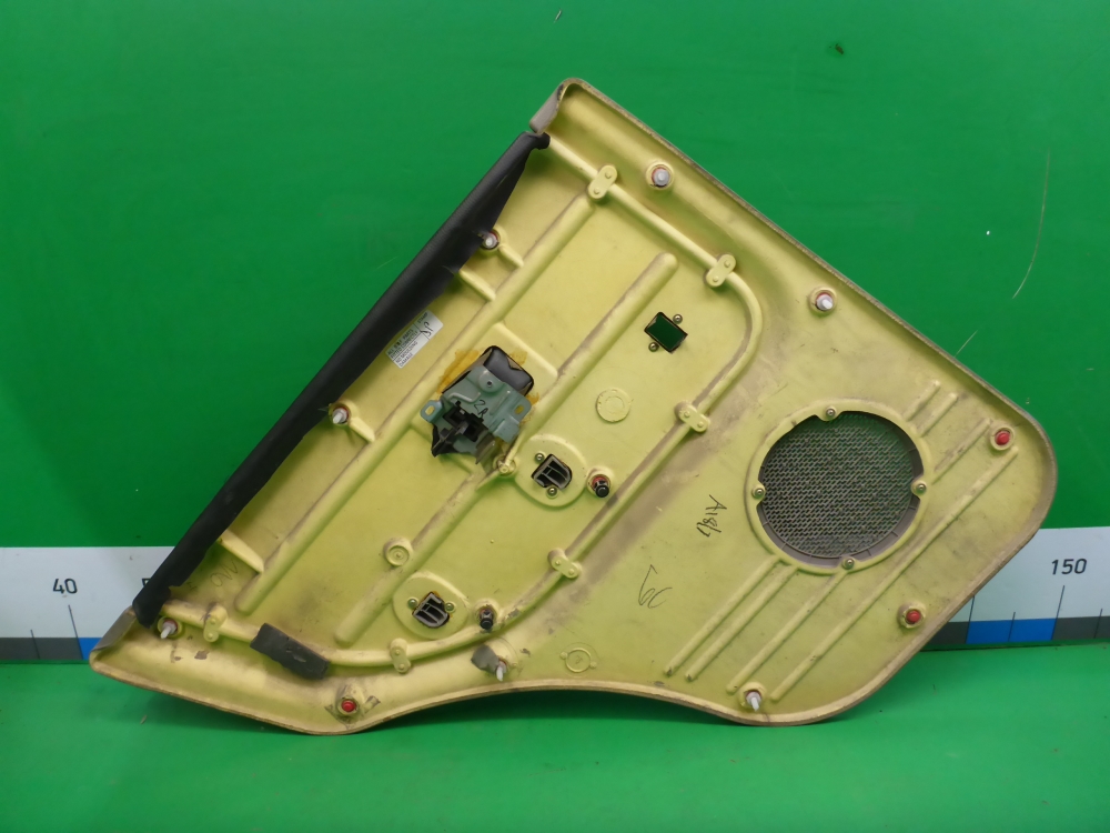 Обшивка двери задней правой