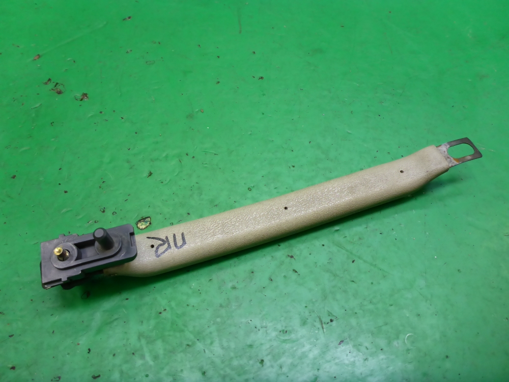 Ручка внутренняя потолочная