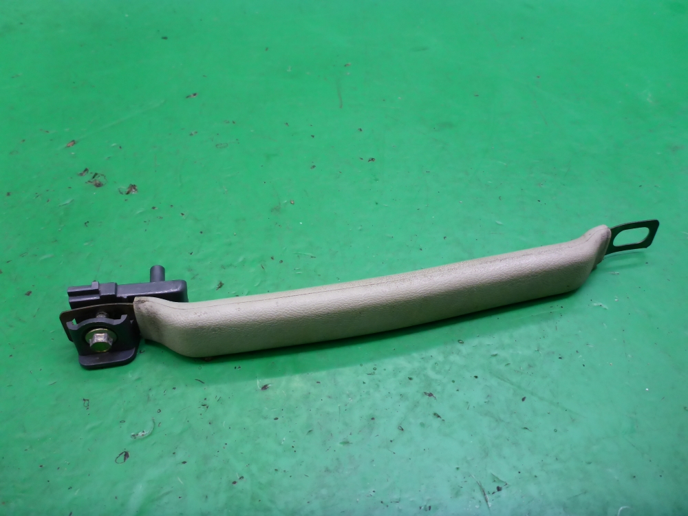 Ручка внутренняя потолочная