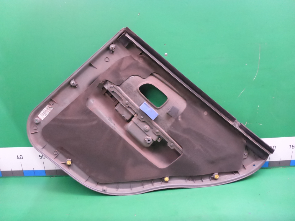 Обшивка двери задней левой