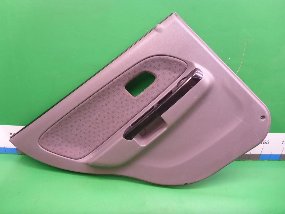 Обшивка двери задней левой