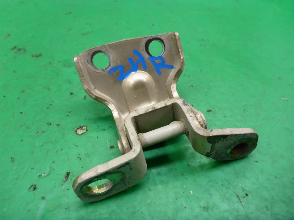 Петля двери задней правой нижняя