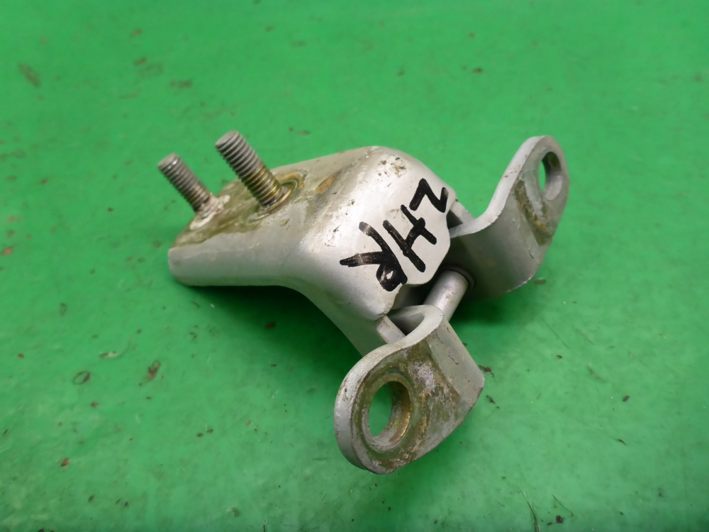 Петля двери задней правой нижняя