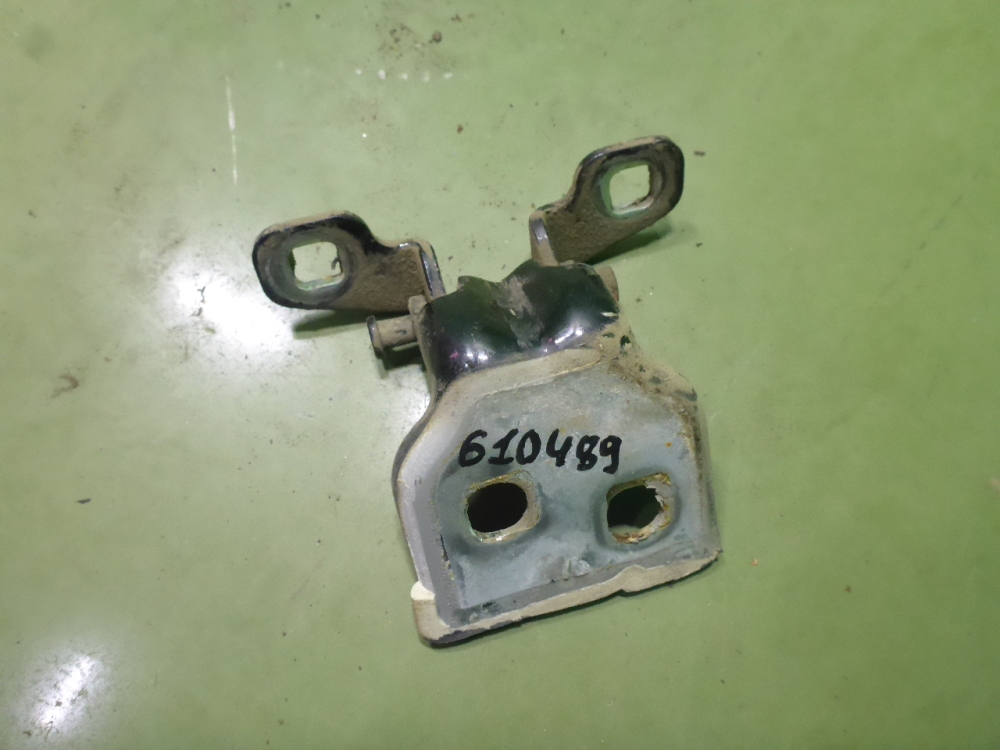 Петля двери задней правой нижняя