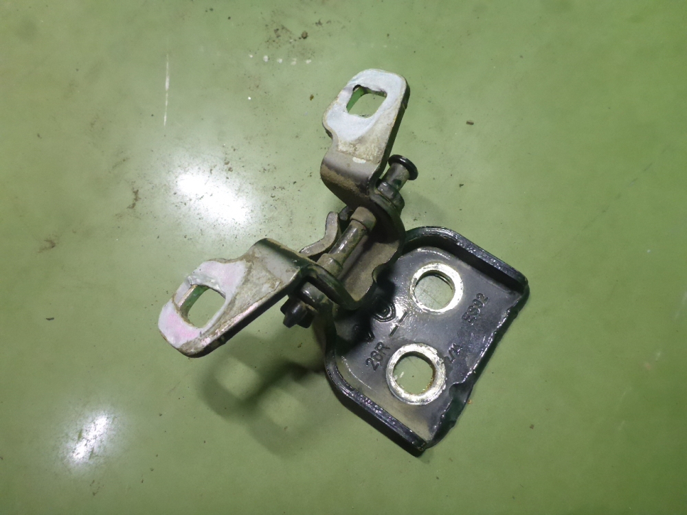 Петля двери задней правой нижняя